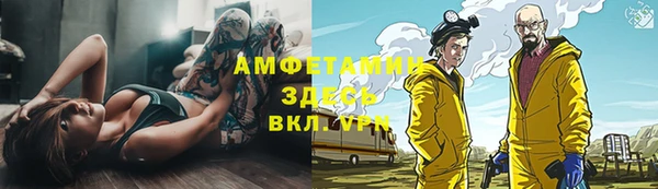 прущие грибы Михайлов