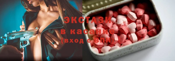 прущие грибы Михайлов