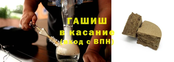 прущие грибы Михайлов