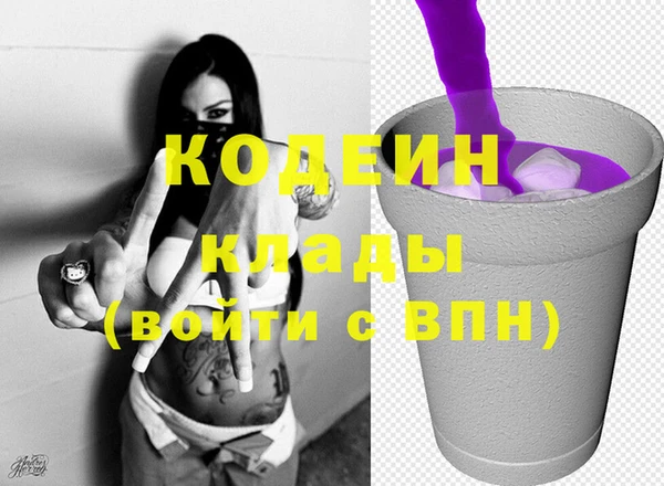 прущие грибы Михайлов