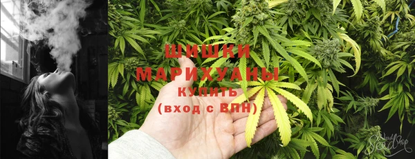 прущие грибы Михайлов