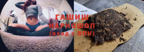 прущие грибы Михайлов