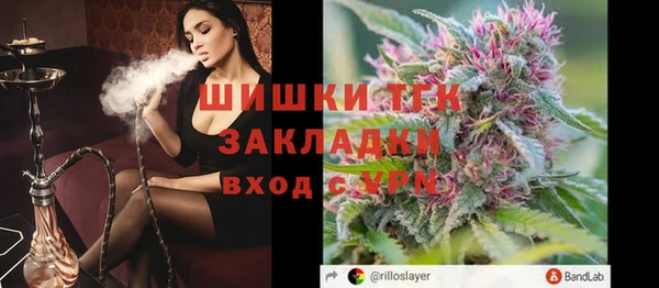 прущие грибы Михайлов