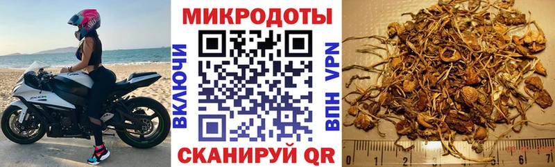 Галлюциногенные грибы Psilocybine cubensis  Купить  Томилино 